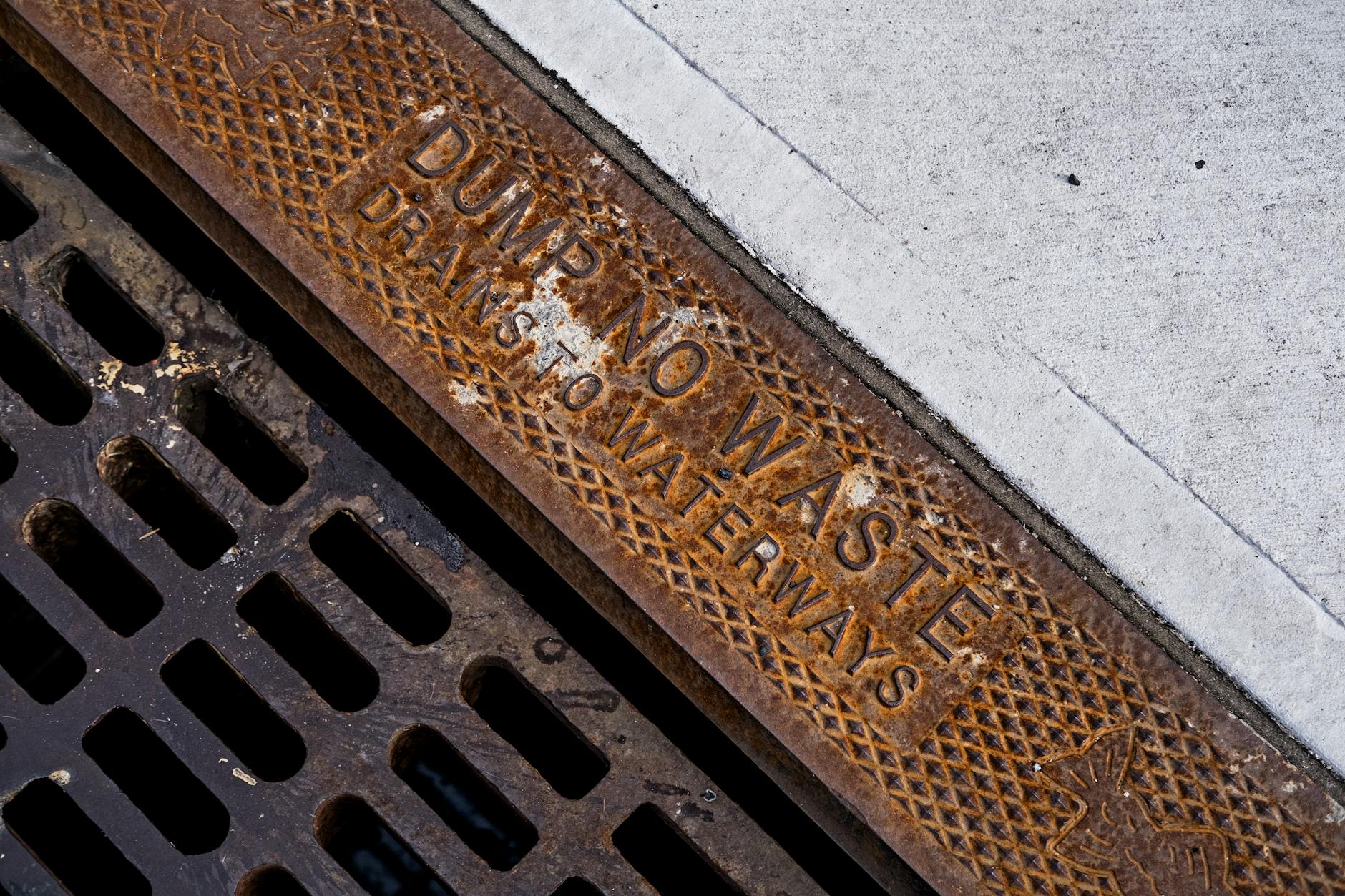 Drain camera and rooter snake service